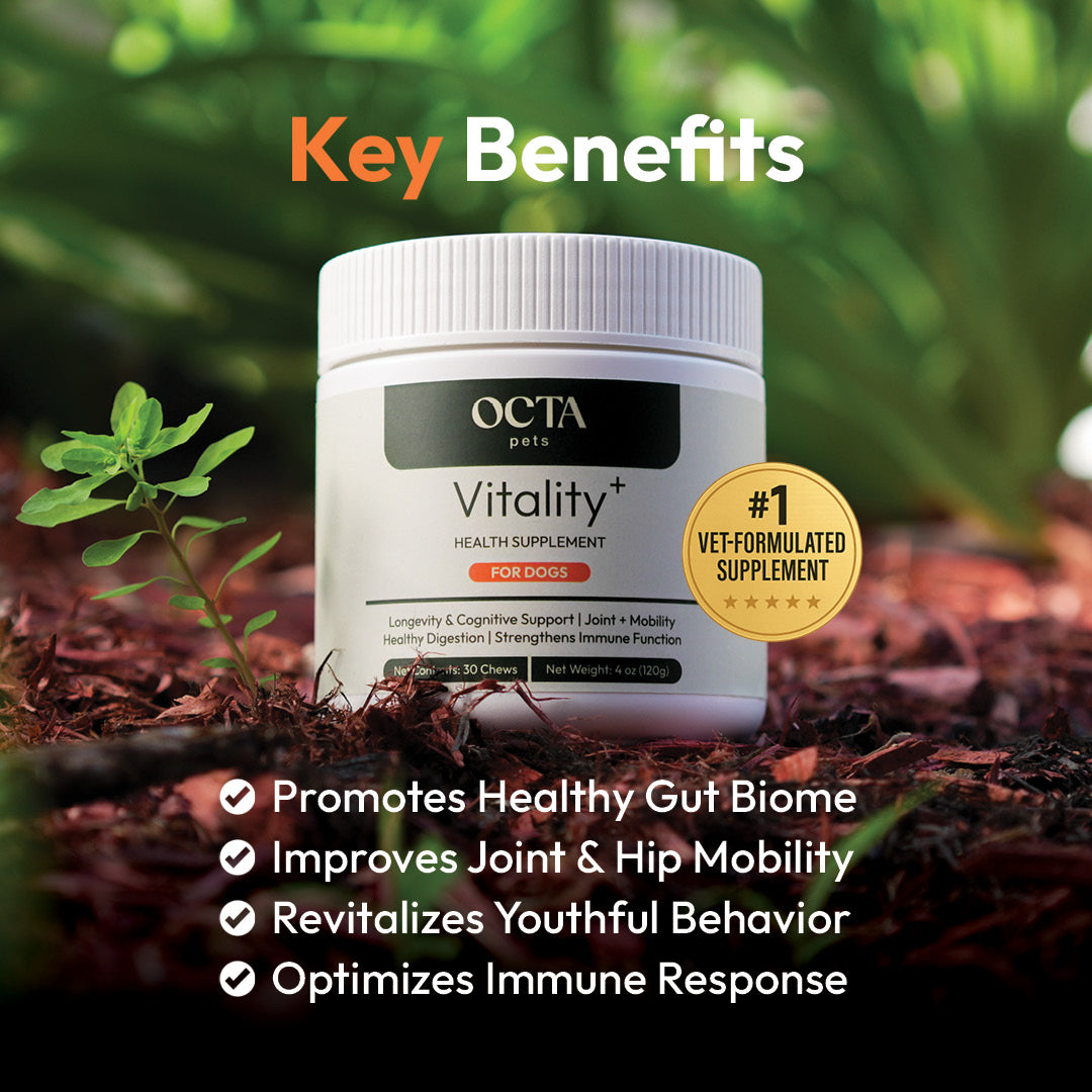 Vitality+ for dogs