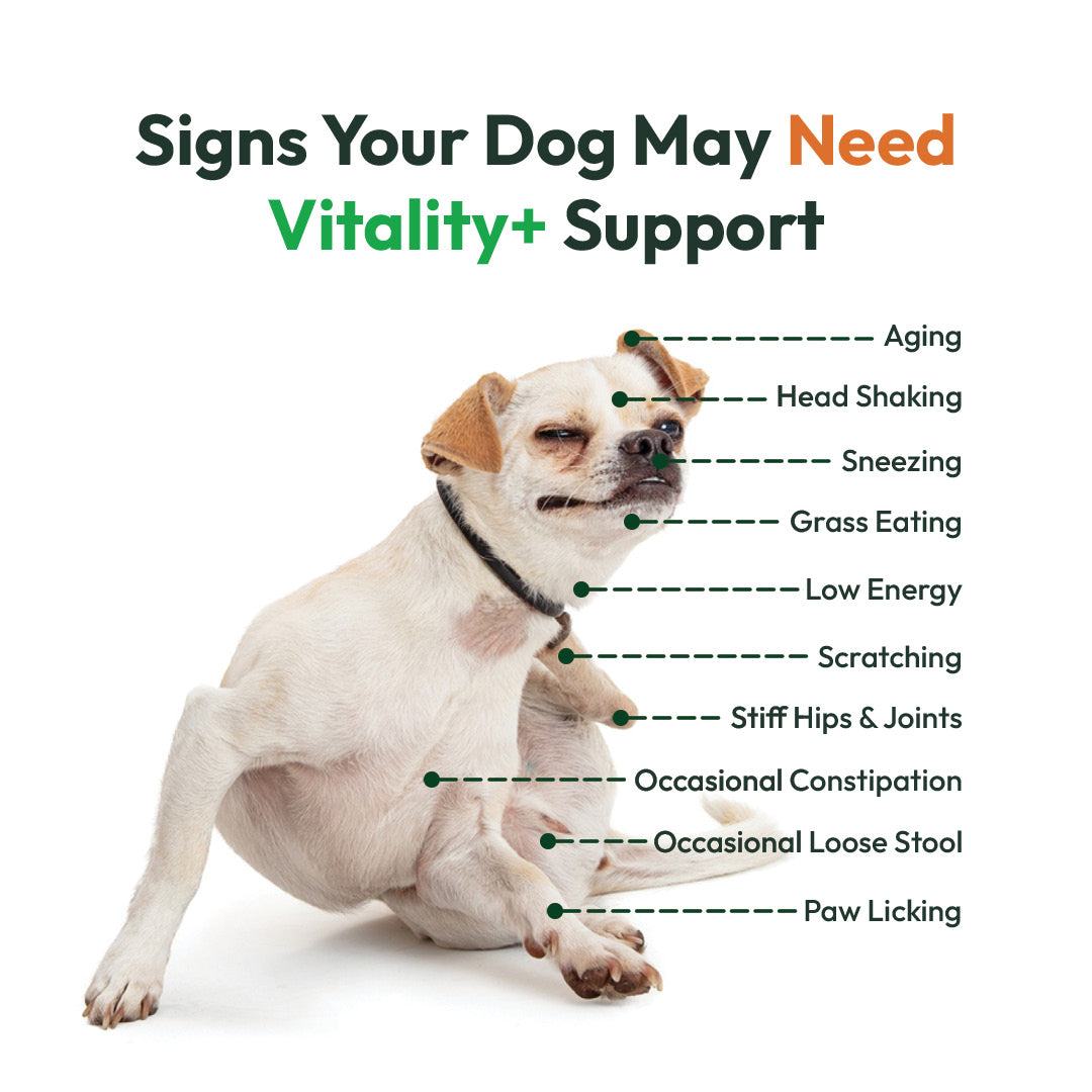 Vitality+ for dogs