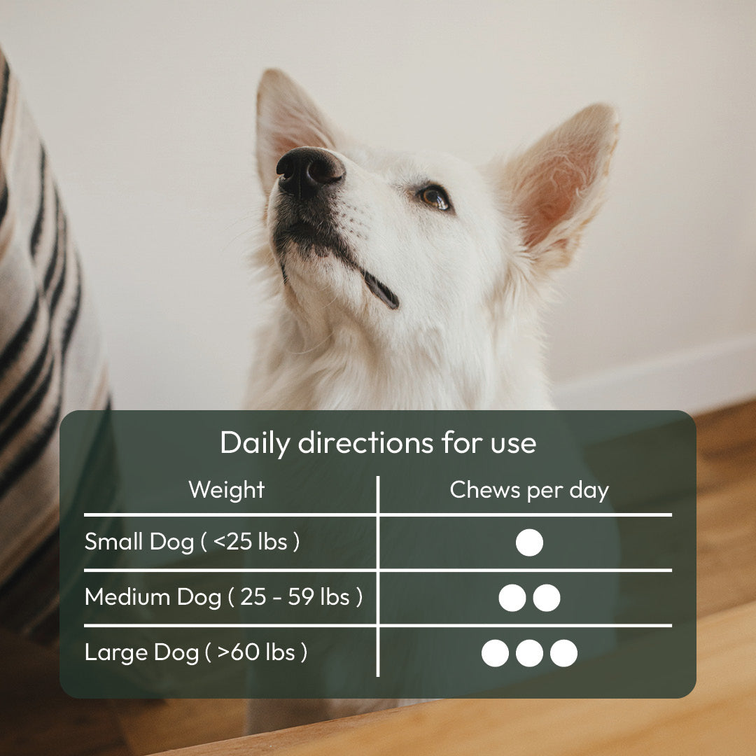Vitality+ for dogs