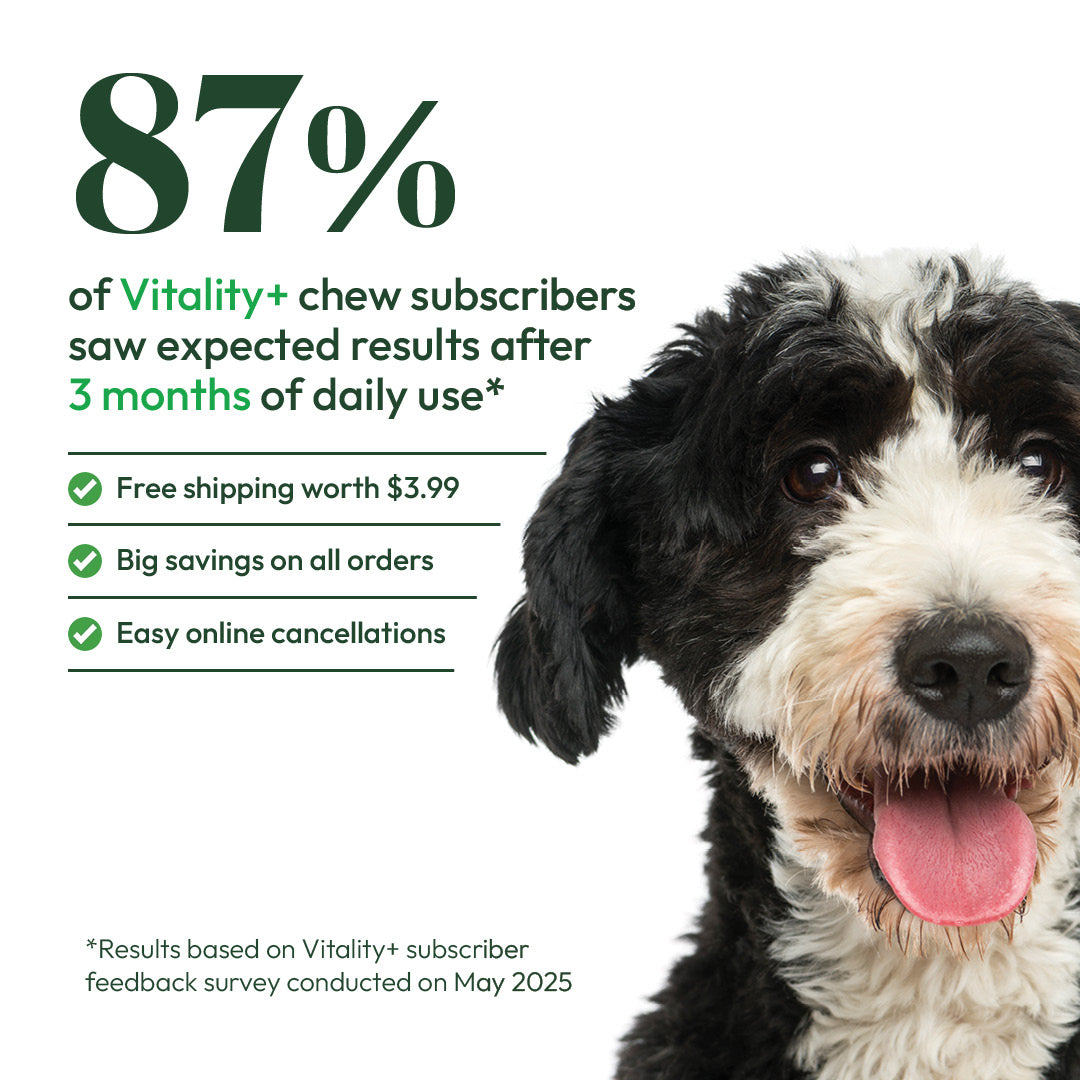 Vitality+ for dogs