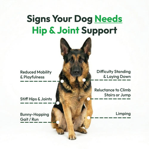 Advanced Hip & Joint Chews